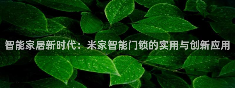 富联娱乐女团排名第几名：智能家居新时代：米家智能门锁的实用与