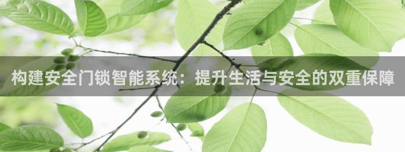 富联娱乐客户端下载：构建安全门锁智能系统：提升生活与安全的双
