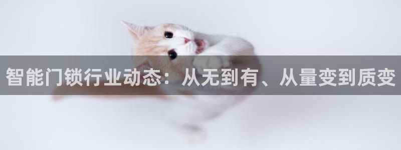 富联娱乐在线注册链接是什么软件：智能门锁行业动态：从无到有、