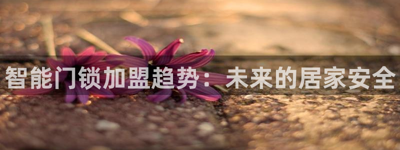 富联娱乐qv87555：智能门锁加盟趋势：未来的居家安全