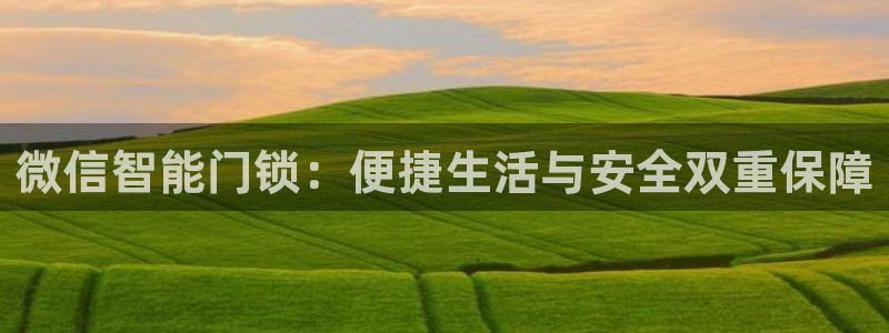 富联娱乐女团排名多少：微信智能门锁：便捷生活与安全双重保障