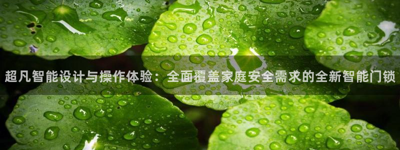 富联娱乐开户流程图解：超凡智能设计与操作体验：全面覆盖家庭安