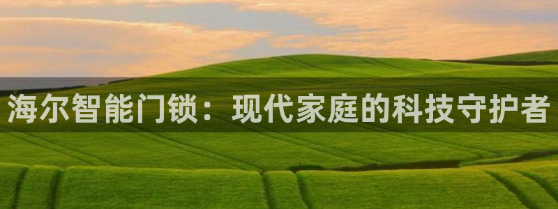 富联娱乐登录地址怎么改：海尔智能门锁：现代家庭的科技守护者