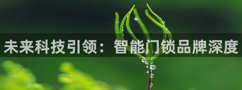 富联娱乐找qv382223：未来科技引领：智能门锁品牌深度