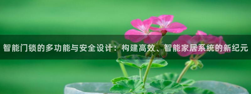 富联娱乐主管会判官333OO：智能门锁的多功能与安全设计：构