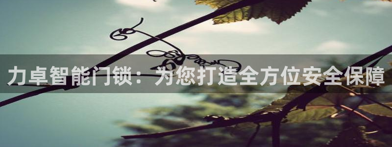 富联娱乐女团排名第几名：力卓智能门锁：为您打造全方位安全保障