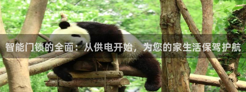 富联娱乐招商杂判官333OO：智能门锁的全面：从供电开始，为