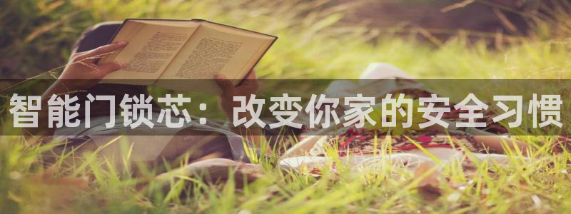富联娱乐注册地址：智能门锁芯：改变你家的安全习惯