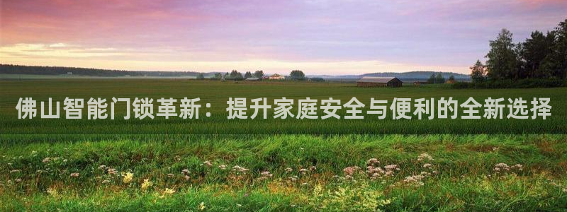 富联娱乐开户流程图：佛山智能门锁革新：提升家庭安全与便利的全
