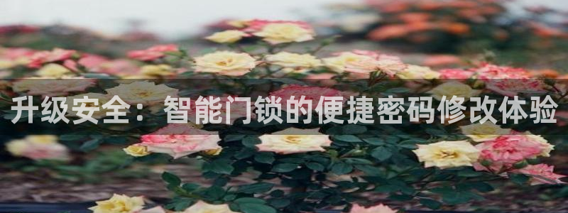 富联娱乐主管是谁呀老板：升级安全：智能门锁的便捷密码修改体验