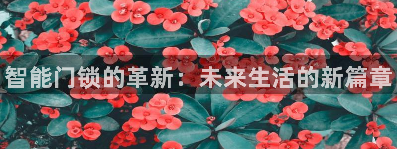 富联娱乐曼谷快三怎么样：智能门锁的革新：未来生活的新篇章