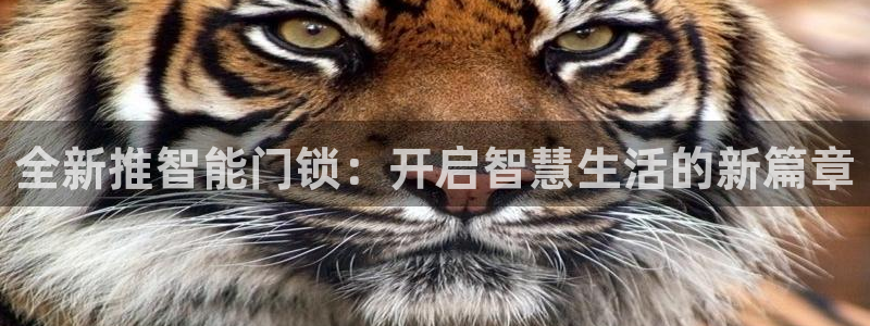 富联娱乐招商方判官333OO：全新推智能门锁：开启智慧生活的