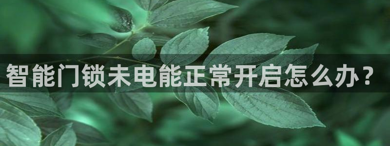 嘉峪关富联娱乐平台：智能门锁未电能正常开启怎么办？