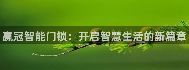 富联娱乐测速地址是什么：赢冠智能门锁：开启智慧生活的新篇章