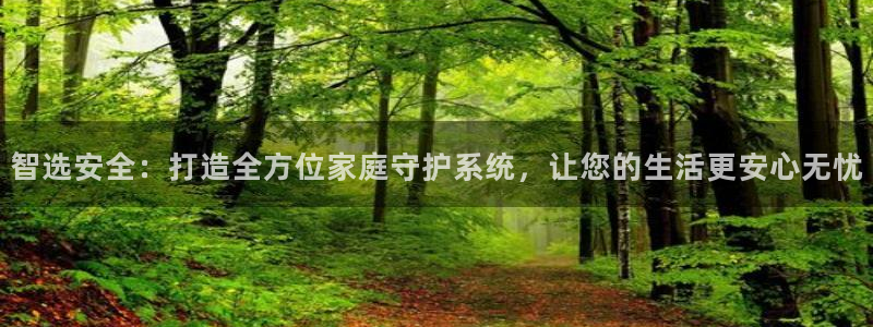 富联娱乐测速登录：智选安全：打造全方位家庭守护系统，让您的生