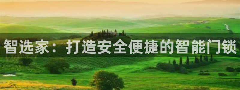 富联娱乐平台：智选家：打造安全便捷的智能门锁
