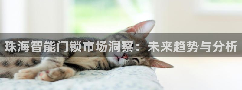 富联娱乐主管月原判官333OO：珠海智能门锁市场洞察：未来趋