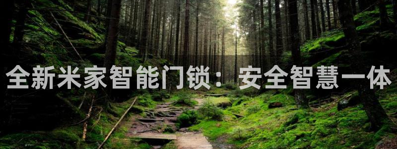 富联娱乐客户端登录不了：全新米家智能门锁：安全智慧一体