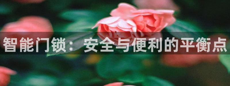 富联娱乐忘记账号怎么办：智能门锁：安全与便利的平衡点