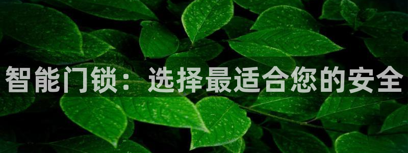 富联娱乐代理是谁：智能门锁：选择最适合您的安全