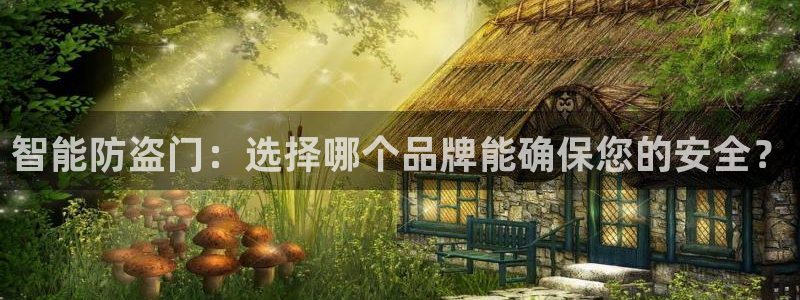 富联娱乐测速怎么样：智能防盗门：选择哪个品牌能确保您的安全？