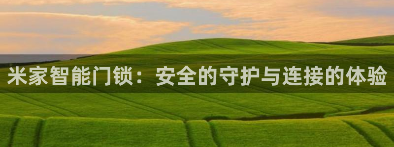 富联娱乐招商通判官333OO：米家智能门锁：安全的守护与连接