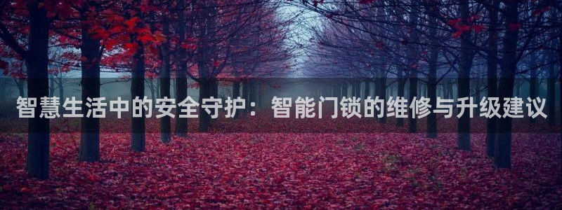 富联娱乐代理是谁做的啊：智慧生活中的安全守护：智能门锁的维修