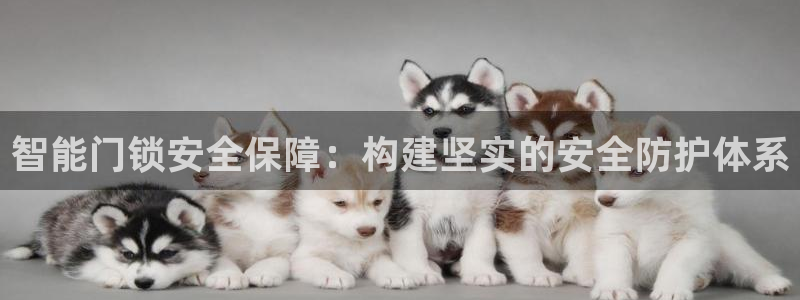 富联娱乐平台是什么：智能门锁安全保障：构建坚实的安全防护体系