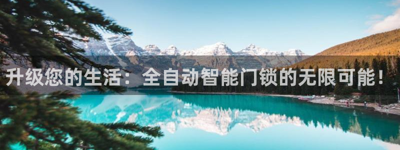 台湾富联娱乐：升级您的生活：全自动智能门锁的无限可能！