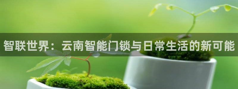 富联娱乐与67五壹叁八：智联世界：云南智能门锁与日常生活的新