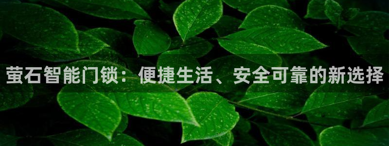 富联娱乐注册场判官333OO：萤石智能门锁：便捷生活、安全可