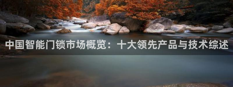 富联娱乐是正规平台吗：中国智能门锁市场概览：十大领先产品与技