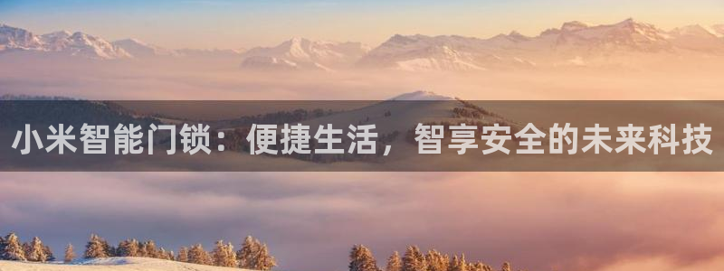 富联娱乐最新版本更新内容：小米智能门锁：便捷生活，智享安全的