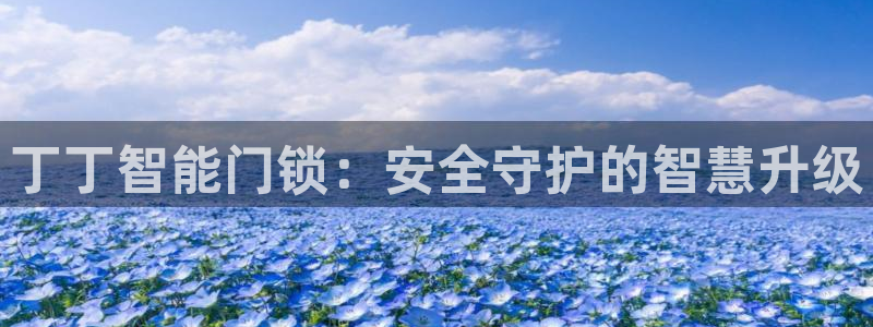 富联娱乐注册量判官333OO：丁丁智能门锁：安全守护的智慧升