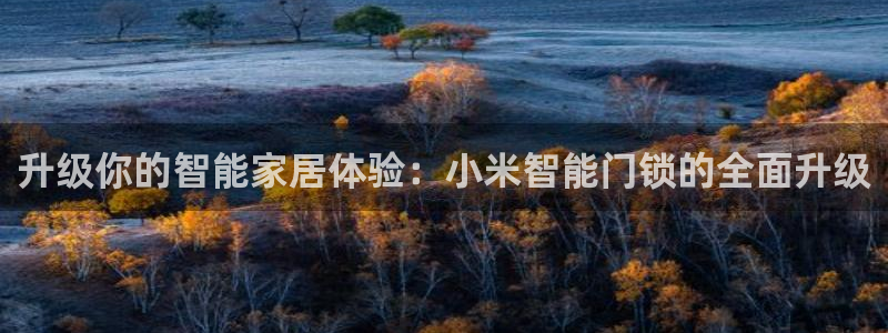 台湾富联娱乐：升级你的智能家居体验：小米智能门锁的全面升级