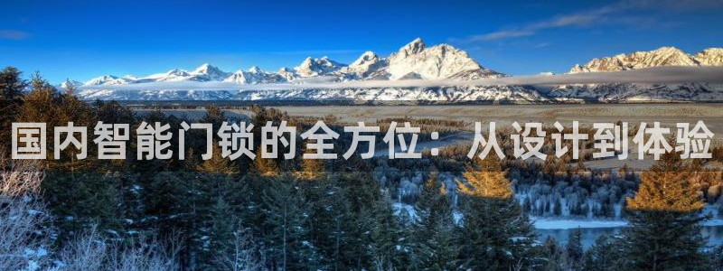 富联娱乐登陆：国内智能门锁的全方位：从设计到体验