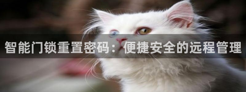 富联娱乐平台注册流程：智能门锁重置密码：便捷安全的远程管理