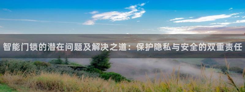 富联2娱乐注册地址查询：智能门锁的潜在问题及解决之道：保护隐