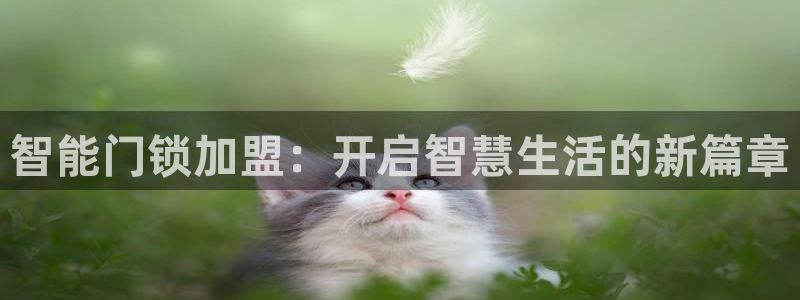 富联娱乐官网下载：智能门锁加盟：开启智慧生活的新篇章
