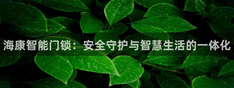 富联娱乐分红：海康智能门锁：安全守护与智慧生活的一体化