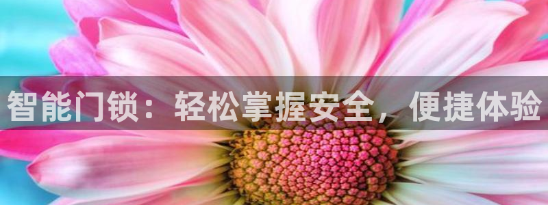 富联娱乐账号注册不了：智能门锁：轻松掌握安全，便捷体验