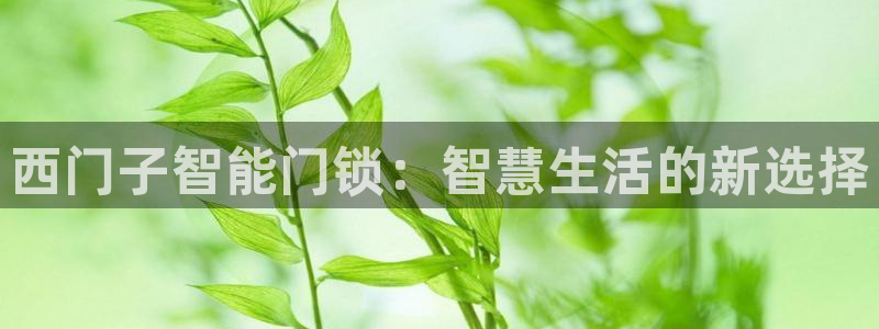 富联娱乐平台登录不上：西门子智能门锁：智慧生活的新选择