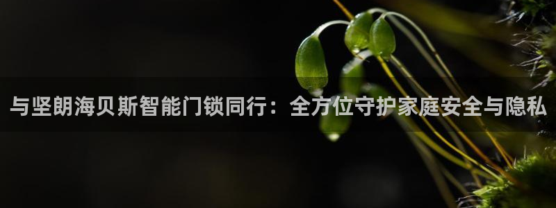 富联娱乐代理怎么做：与坚朗海贝斯智能门锁同行：全方位守护家庭