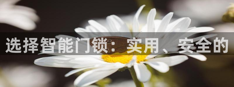 富联娱乐招商右判官333OO：选择智能门锁：实用、安全的