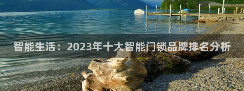 富联娱乐巾六七五一38：智能生活：2023年十大智能门锁品牌