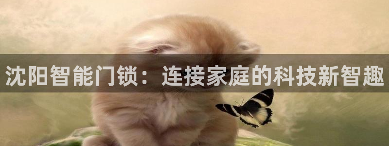 富联娱乐招熵：沈阳智能门锁：连接家庭的科技新智趣