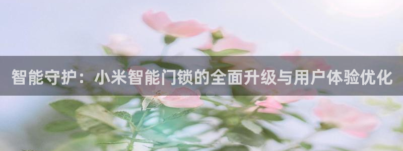 富联娱乐主管地判官333OO：智能守护：小米智能门锁的全面升