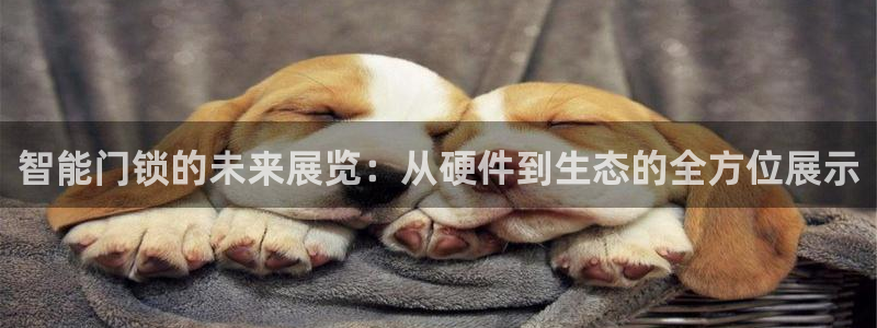 富联2娱乐平台注册：智能门锁的未来展览：从硬件到生态的全方位