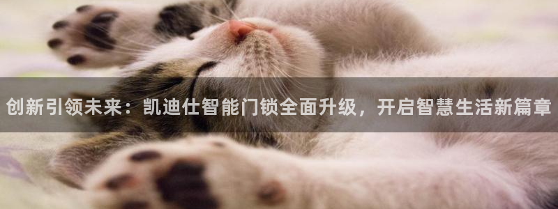 富联娱乐主管是谁：创新引领未来：凯迪仕智能门锁全面升级，开启