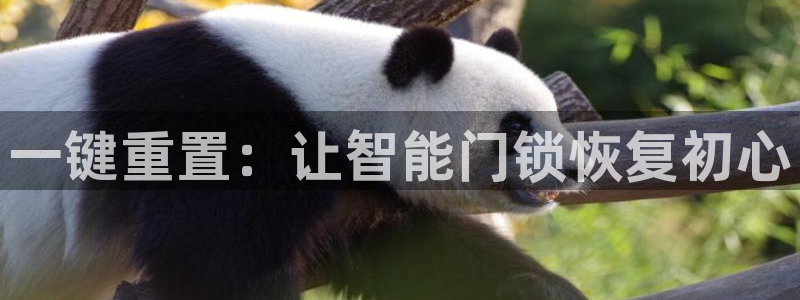 富联娱乐总代理电话号码：一键重置：让智能门锁恢复初心